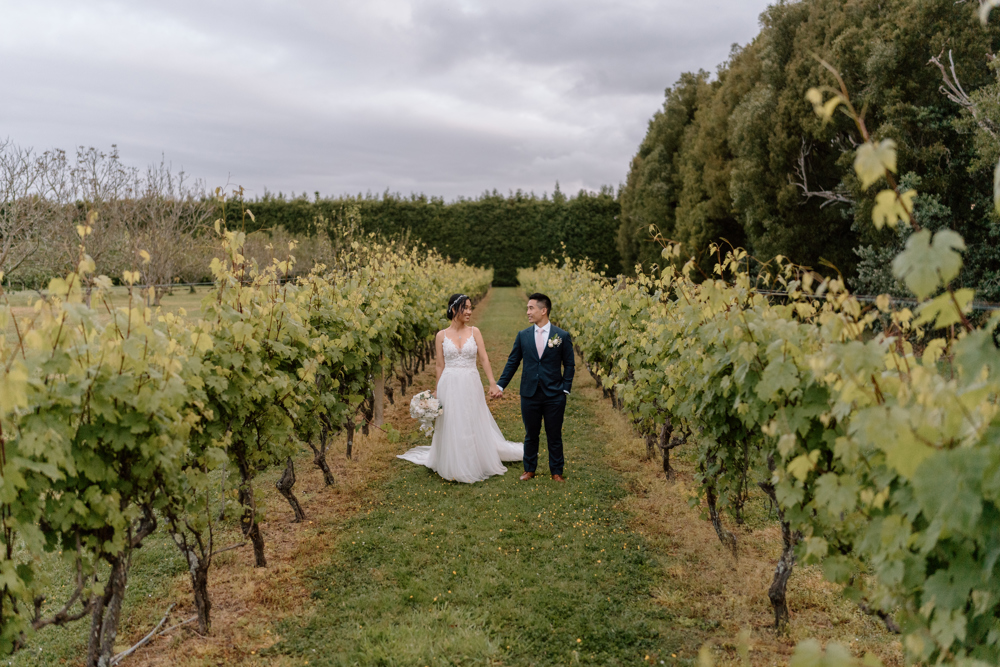 Markovina Vineyard Estate
